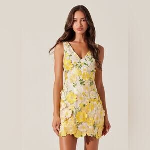 ASTR The Label Aisha Floral Appliqué Mini Dress S